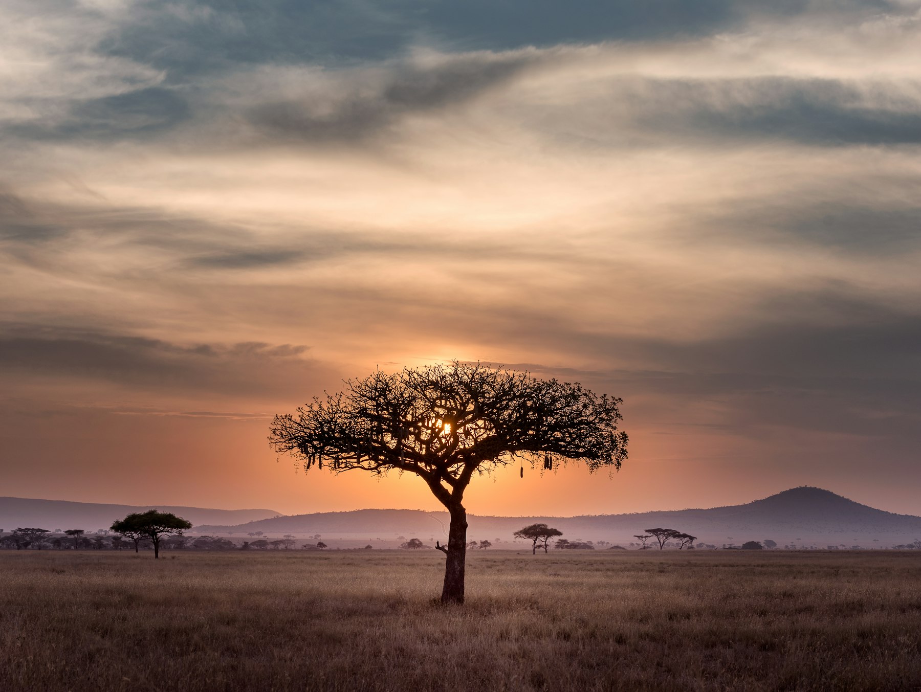 12 Day romantic safari + beach
