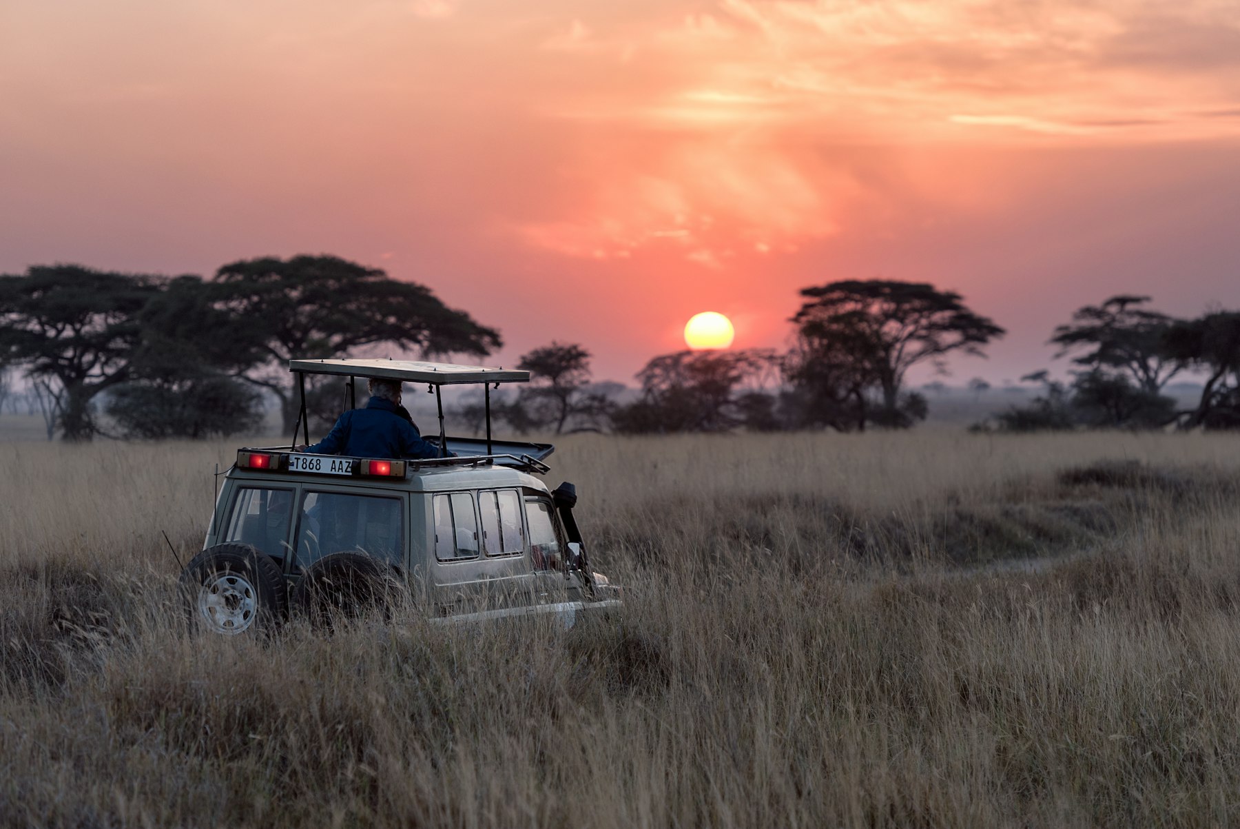 8 Days Migration Safari